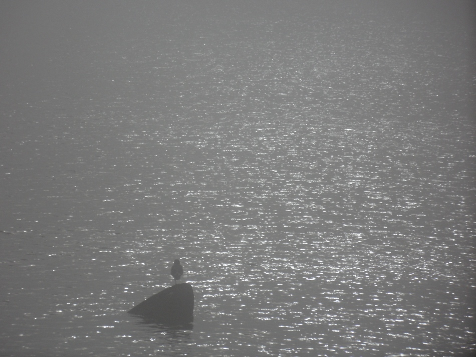 Foggy False Bay